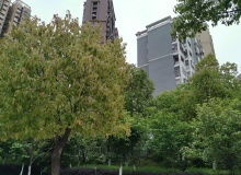 大连房地产资讯网——资讯中心·大连乐居·大连房地产开发动态聚焦