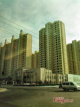 大连新星房地产开发集团 深耕本土，辐射全国的城市建设者