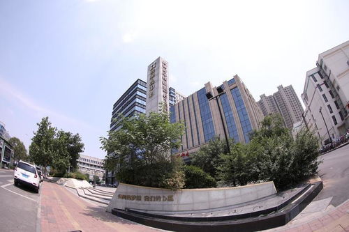 大连房地产市场的近况与趋势分析 从开发到风向变革